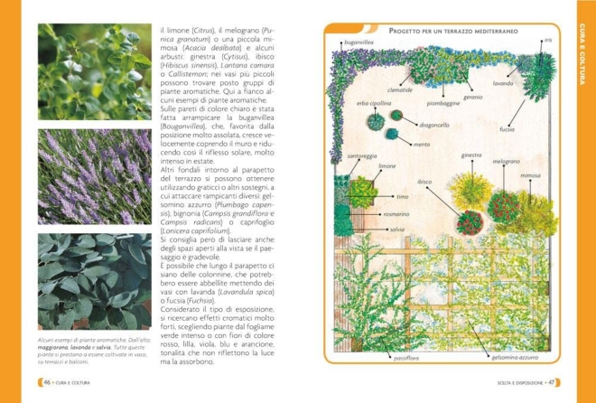 Pollice verde per tutti. Il manuale completo del giardinaggio - immagine 5