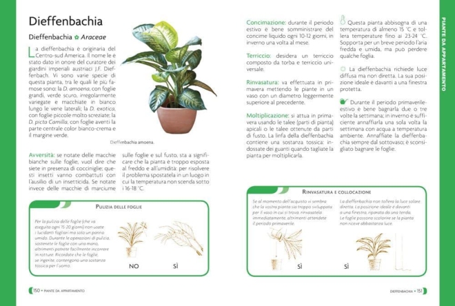 Pollice verde per tutti. Il manuale completo del giardinaggio - immagine 6