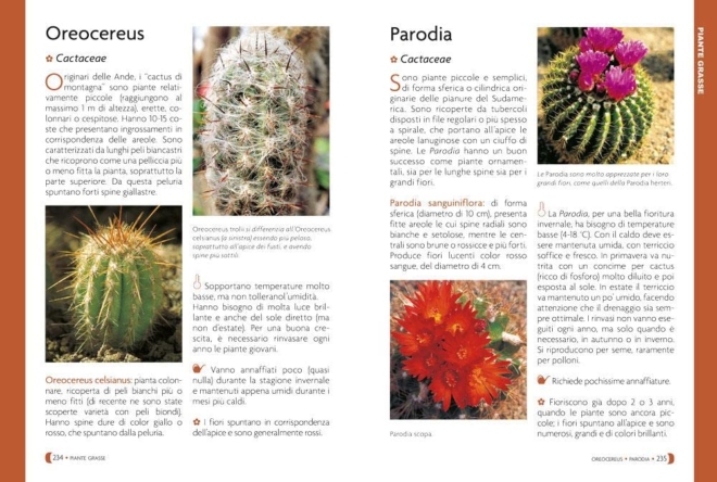 Pollice verde per tutti. Il manuale completo del giardinaggio - immagine 7