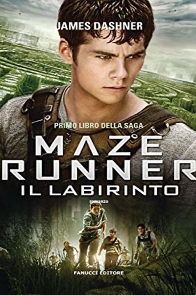 Il labirinto. Maze Runner (Vol. 1)