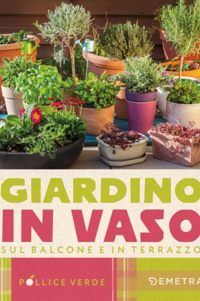Giardino in vaso sul balcone e terrazzo