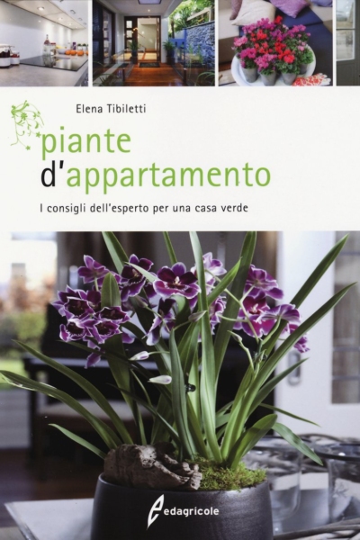 Piante d'appartamento. I consigli dell'esperto per una casa verde