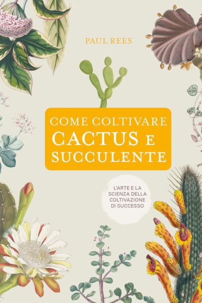Come coltivare cactus e succulente